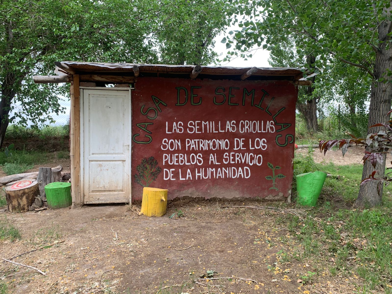 WhatsApp Image 2025-10-28 at 15.42.53