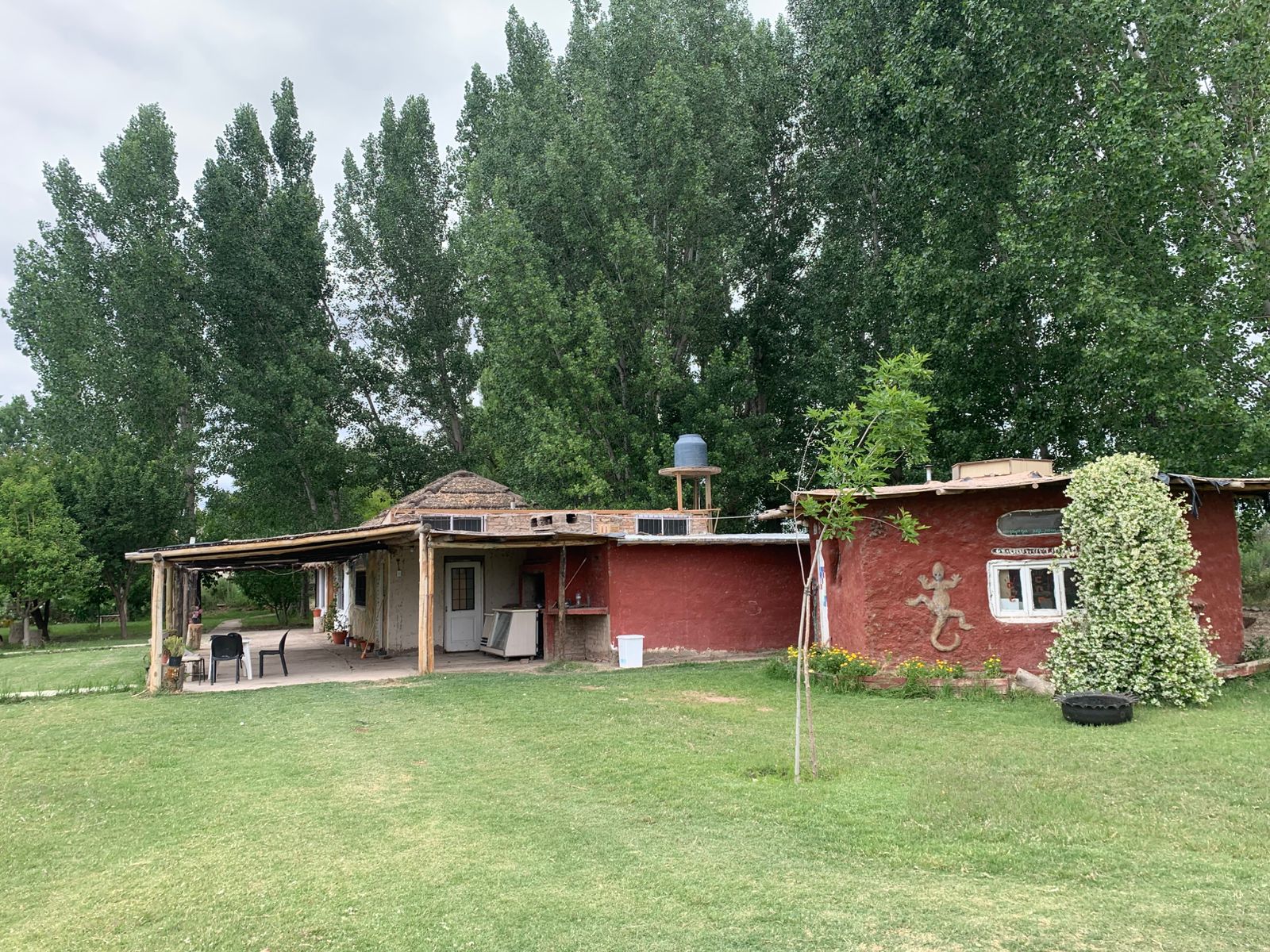 WhatsApp Image 2025-10-28 at 15.51.35 (1)